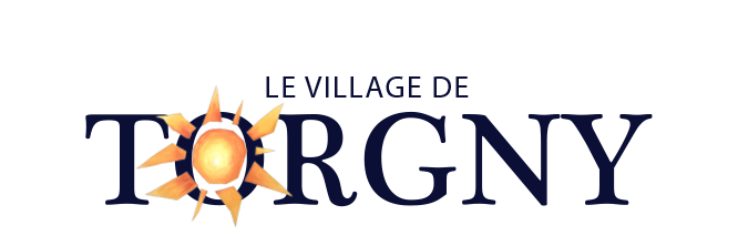 tor_logo2